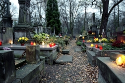 Friedhof